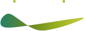 IVA